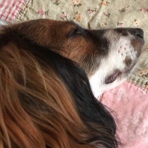 Meet your Posher, Janice